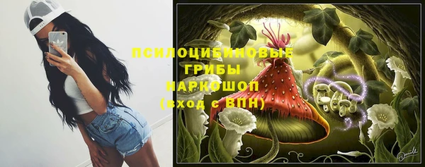 винт Касимов