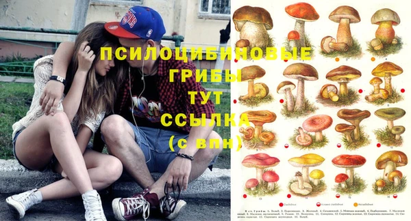 прущая мука Карпинск